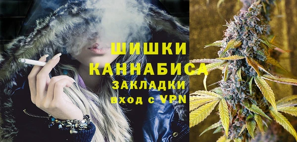твердый Алзамай