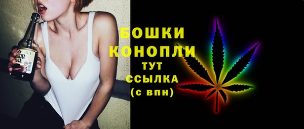 твердый Алзамай